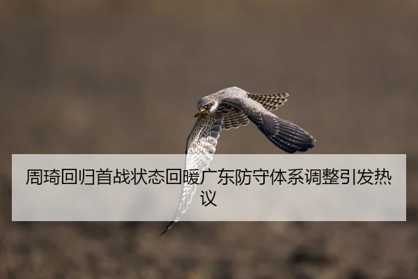 周琦回归首战状态回暖广东防守体系调整引发热议